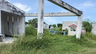 Lluvias y abandono cubren de monte el cementerio
