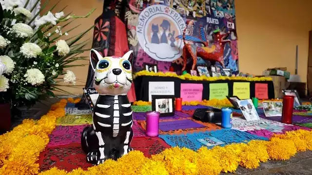 Por tradición del Día de Muertos, también existen ofrendas para las mascotas