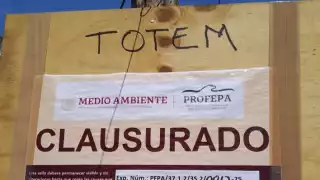 Coloca la Profepa sellos en obras que ya habían devastado millones de metros cuadrados de selva