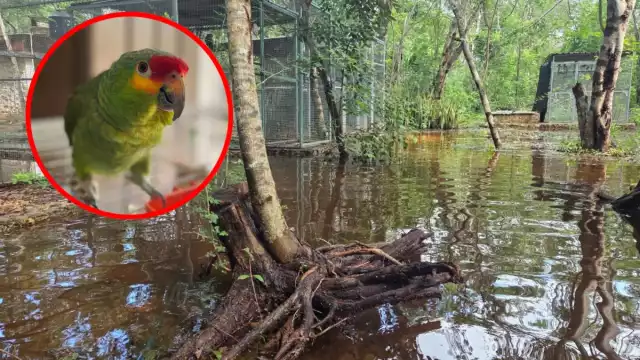 El agua cubre gran parte del recinto