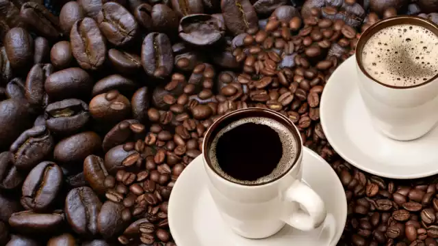 ¿Cuál es tu café favorito?