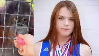 Boxeadora rusa hacer vapear a  Orangután en peligro de extinción y lo graba