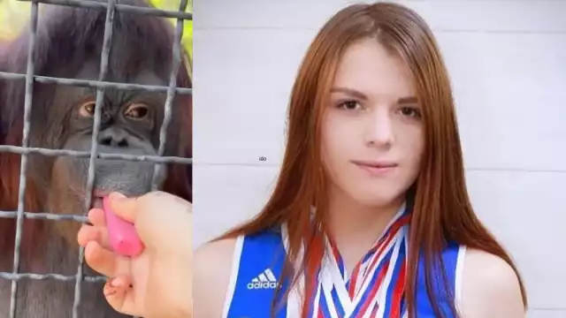 La acción fue condenada por ambientalistas