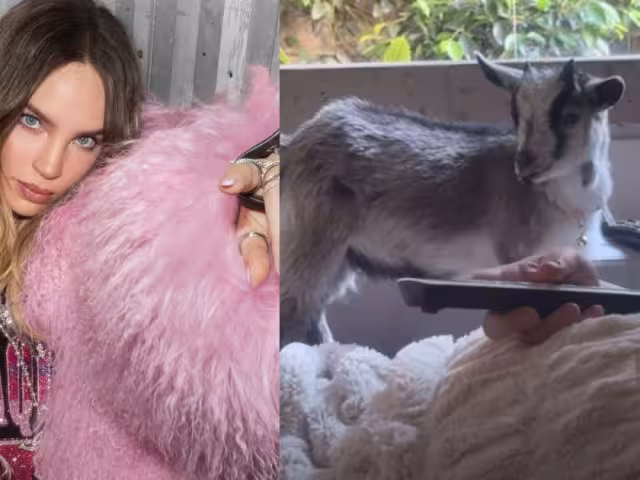 La cantante mostró lo cariñosa que es con los animales