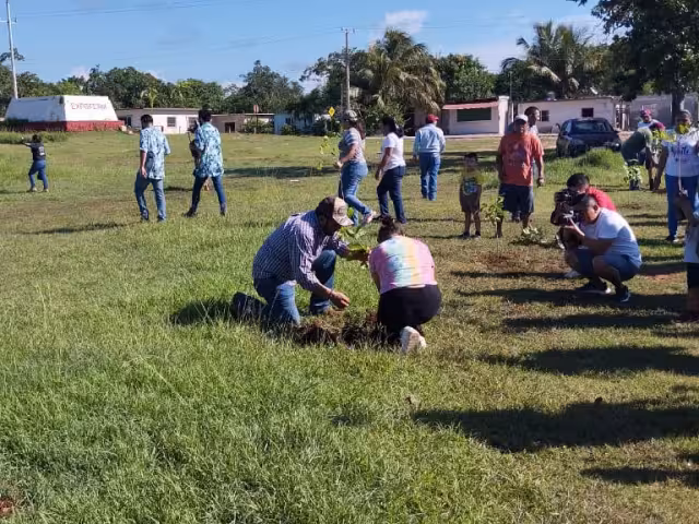 Actualmente hay acercamiento con los beneficiarios de “Sembrando Vida”, para considerar un programa de reforestación