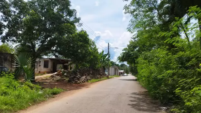 Mujer es estafada por supuesta trabajadora del Programa del Bienestar en José María Morelos