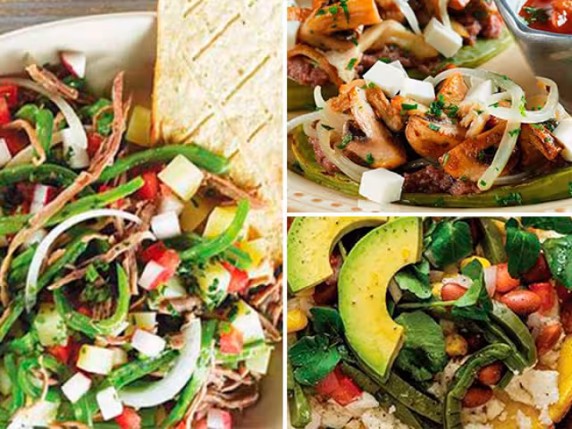 Los nopales son una fuente excepcional de nutrientes