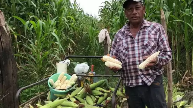 Beneficiarios de comunidades como Yaxhá e Iturbide reportaron que sus tarjetas carecen de fondos.