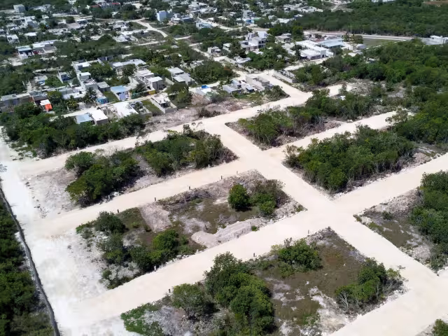 Los predios ofertados tienen medidas de ocho metros de frente por 20 de fondo