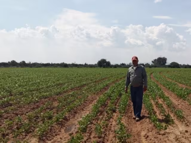 Federación de Productores Agropecuarios señalan importancia de tecnificación del campo en Q. Roo.