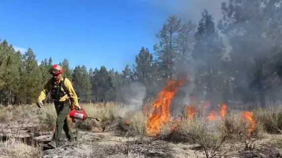 Escárcega y Champotón, focos rojos por incendios forestales Escárcega y Champotón, focos rojos por incendios forestales