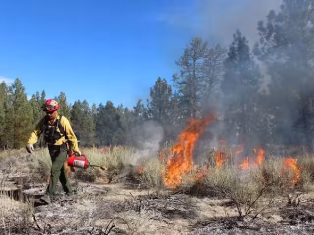 Escárcega y Champotón, focos rojos por incendios forestales