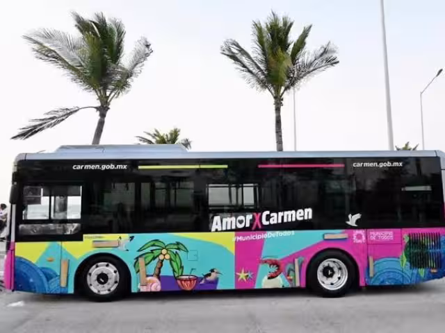 ARTEC detecta irregularidades en “Amor x Carmen”; camiones operan sin concesión estatal en la Isla