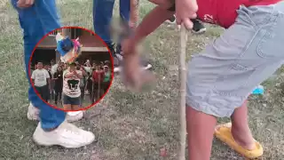 Caso ‘Cantaritos’ en Calkiní llega a la FGR y Fiscalía Anticorrupción; crueldad animal costaría hasta 10 años de prisión  