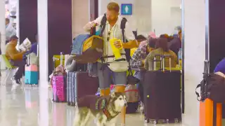 Roque, el husky viajero que robó miradas en el aeropuerto de Cancún