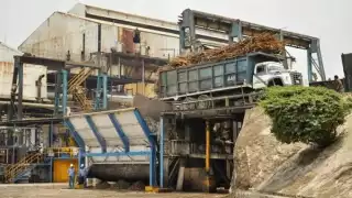 Negociaciones y apoyos serán clave para impedir crisis en sector cañero en Q. Roo