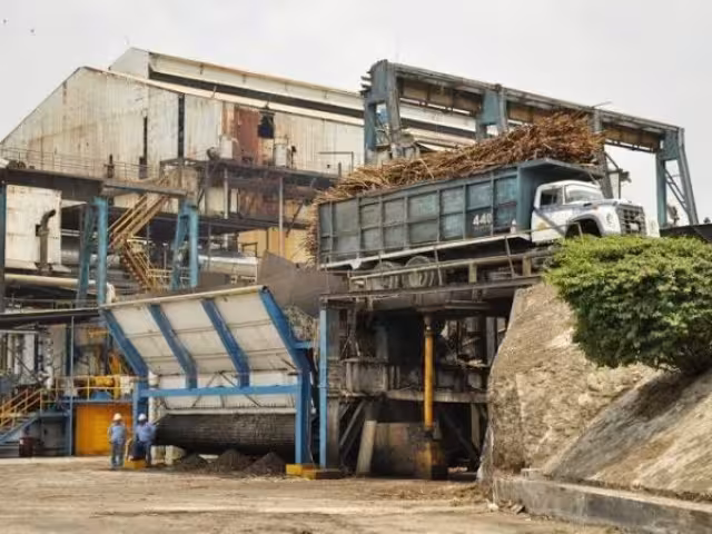 El sector realizó menores cosechas de lo esperado para esta temporada.