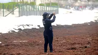 Sargazo amenaza turismo en Quintana Roo: Piden declarar emergencia ambiental ante 522 mil toneladas  