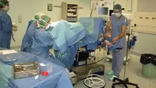 En febrero fue despenalizado