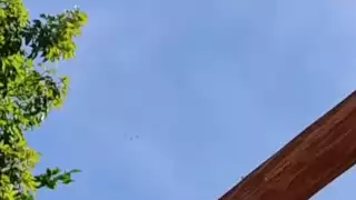 Presencia de tres aeronaves alerta a la comunidad de José María Morelos