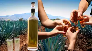 El tequila es a bebida más reconocida a nivel mundial que identifica a México