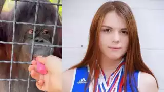 La acción fue condenada por ambientalistas