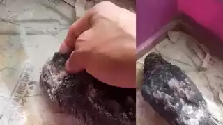 La Paloma no superó las lesiones que le dejó la explosión