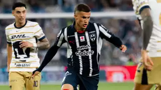 Los felinos están fuera de la Liguilla