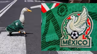 El pato más futbolero