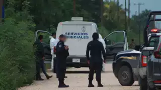 Macabro hallazgo en colonia Avante: Vecinos encuentran restos humanos  en Cancún 