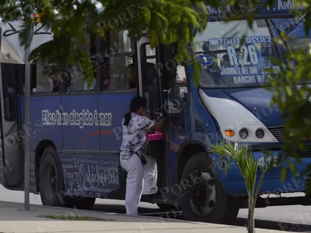 Quienes se presenten en los módulos tendrán opción de sugerir qué tipo de unidades son las de su preferencia.