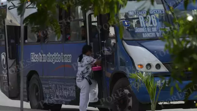 Quienes se presenten en los módulos tendrán opción de sugerir qué tipo de unidades son las de su preferencia.