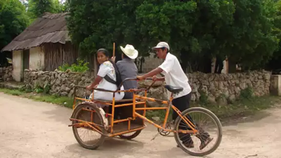 Entre abrazos y sabiduría: Campeche celebra a sus abuelos con identidad Entre abrazos y sabiduría: Campeche celebra a sus abuelos con identidad