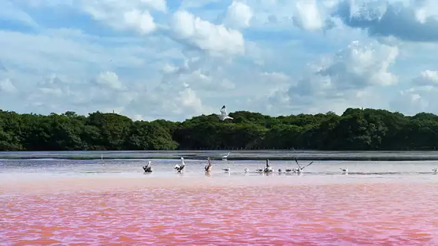 Descubre las Paradisíacas Playas de Yucatán