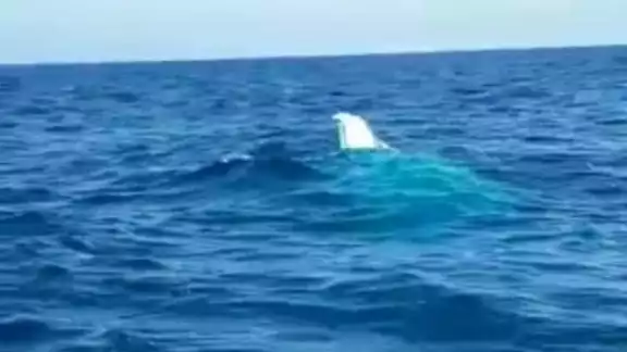 Embarcación "San Crisanto" se hunde en Yucatán en la madrugada del jueves. Embarcación "San Crisanto" se hunde en Yucatán en la madrugada del jueves.