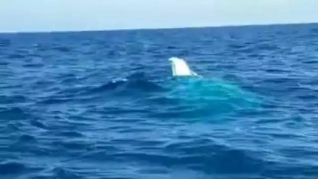 Embarcación "San Crisanto" se hunde en Yucatán en la madrugada del jueves.