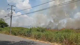 Incendio arrasa zona ecológica en Tabasco; cocodrilos y tortugas entre las especies afectadas