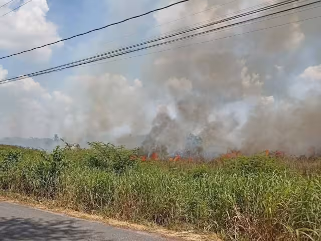 Se presume que el siniestro fue provocado