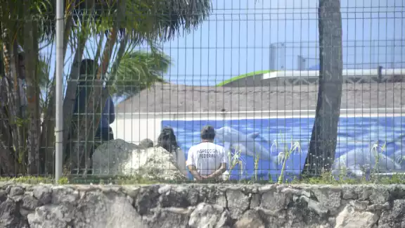 Profepa inició inspección de delfinarios en Cancún, comenzando por Dolphin Discovery. Profepa inició inspección de delfinarios en Cancún, comenzando por Dolphin Discovery.