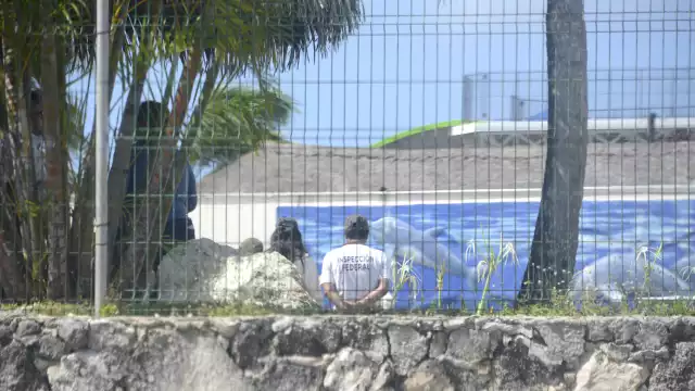 Profepa inició inspección de delfinarios en Cancún, comenzando por Dolphin Discovery.