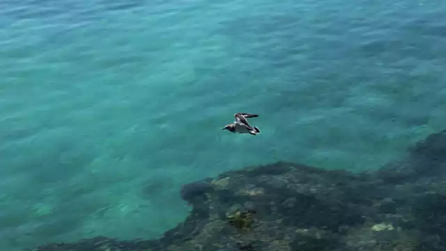 Vigencia de la garantía empezará a correr a las 12:01 del domingo 1 de junio de 2025 y se mantendrá activa por un año, con renovación para junio de 2026