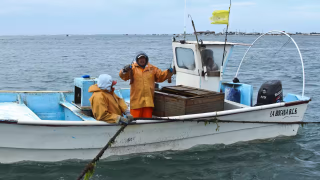 Emite la SEPASY, convocatoria para la licitación pública sobre el Servicio de Impresión de Vales del Programa Respeto la Veda