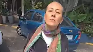 ‘Lady Paso Peatonal'; mujer es captada agrediendo a policías tras intento de infracción vial 