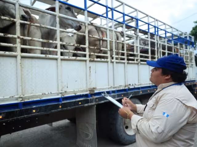 Cochliomyia hominivorax ya es un problema social