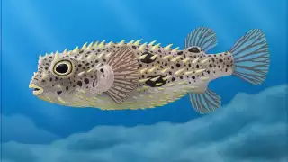 Investigadores descubren nueva especie de pez extinta en cenotes de Yucatán 