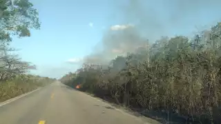 Incendios forestales causan apagones en la zona maya de Quintana Roo