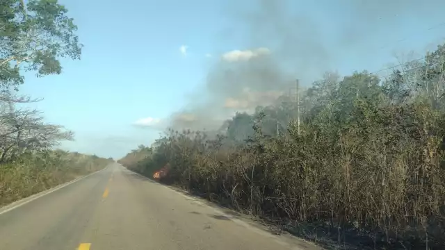 Los incendios han afectado a los cables de electricidad en la zona maya