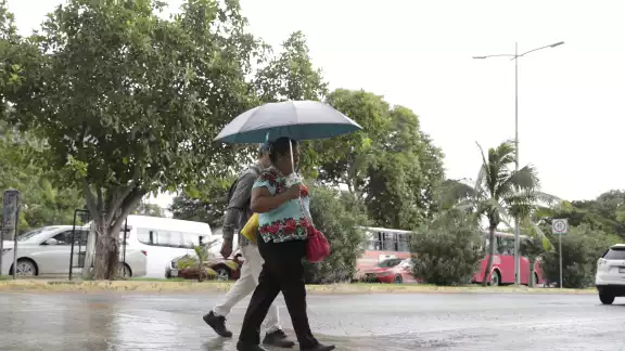 Debido a la probabilidad de lluvias, se recomienda tomar precauciones al salir Debido a la probabilidad de lluvias, se recomienda tomar precauciones al salir