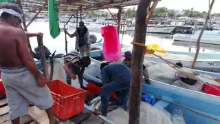 Urge inclusión total de pescadores de Campeche en programa “Veda y baja captura”
