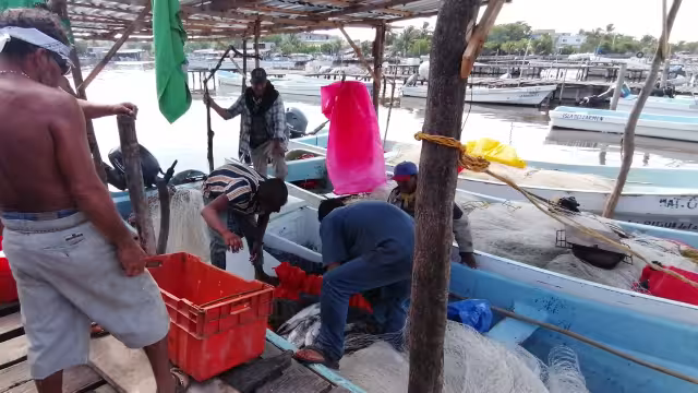 El sector genera producciones desde 50 mil toneladas de escama